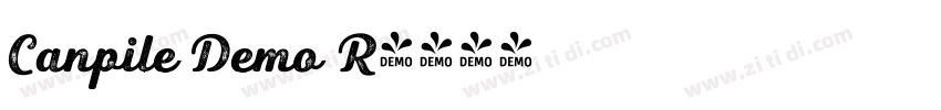 Canpile Demo R字体转换